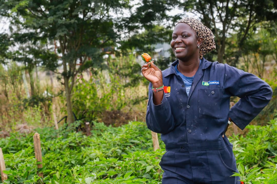 African farmer using modern technology in greenhouse